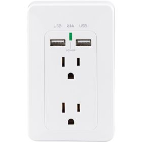 2Ol 2Usb Wall Mnt