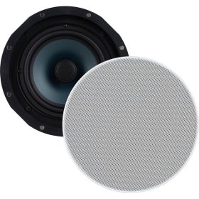 6.5In 100W 2Wy Cnt Cl Spk