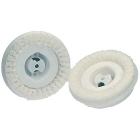 Shmpoo Brush 6 In