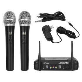 2Ch Wrls Mic Systm