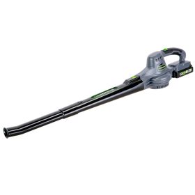 20V 2-Speed Blower/Swper