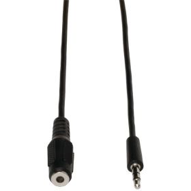 10Ft Mini Audio Ext Cbl