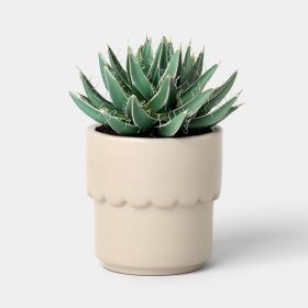 Ceramic Modern Outdoor Planter â€“ Cream, 4"x3.875" For Plants & Succulents