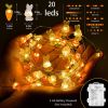 Battery-Operated Bunny and Carrot String Lights