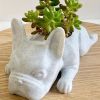 Miniature French Bulldog Resin Succulent Planter