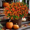12-Bundle Artificial Autumn Chrysanthemum Flower Set