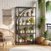 5-Tier Half-Moon Geometric Bookshelf Industrial Open Bookcase with Anti-Tipping Device