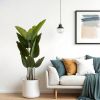 62 Inch Artificial Bird of Paradise Plant in Pots Set of 2