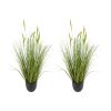 35 Inch Artificial Cattail Grass in Pots Set of 2