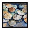 8 x 8 Inch Sand Dollars Framed Metal Wall Art