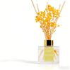 Reed Diffuser Set - 3.38 fl oz Lemon Verbena Premium Scented Oil with Preserved Baby's Breath & Cotton 6 Sticks | Long-Lasting Aromatherapy for Home