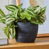 4.5 Inch Black Textured Matte Ceramic Pot