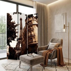 48" X 72" Multi Color Wood Canvas Paris  Screen