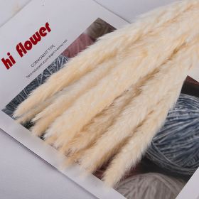 Natural Pampas Grass and Bunny Tail Dried Floral Bouquet (Color: beige pampas, size: 30pcs)