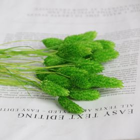 Natural Pampas Grass and Bunny Tail Dried Floral Bouquet (Color: Gem green, size: 30pcs)