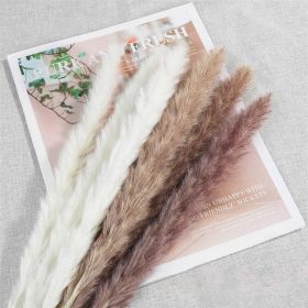 Natural Pampas Grass and Bunny Tail Dried Floral Bouquet (Color: combination, size: 30pcs)
