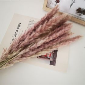 Natural Pampas Grass and Bunny Tail Dried Floral Bouquet (Color: natural pampa, size: 30pcs)