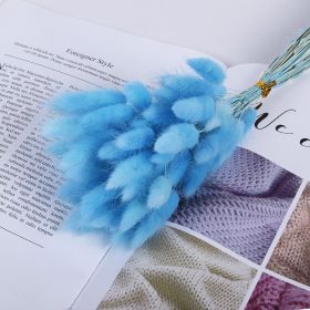 Natural Pampas Grass and Bunny Tail Dried Floral Bouquet (Color: sky blue  rabbit tai, size: 30pcs)