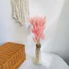 Natural Pampas Grass and Bunny Tail Dried Floral Bouquet