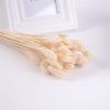 Natural Pampas Grass and Bunny Tail Dried Floral Bouquet