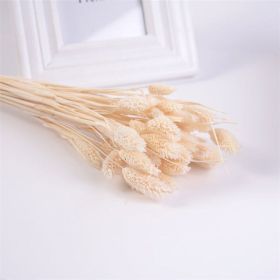 Natural Pampas Grass and Bunny Tail Dried Floral Bouquet (Color: Gem white, size: 30pcs)