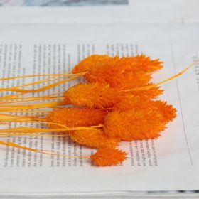 Natural Pampas Grass and Bunny Tail Dried Floral Bouquet (Color: Gem orange, size: 30pcs)