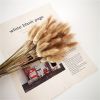 Natural Pampas Grass and Bunny Tail Dried Floral Bouquet