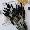Natural Pampas Grass and Bunny Tail Dried Floral Bouquet