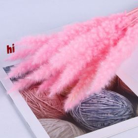 Natural Pampas Grass and Bunny Tail Dried Floral Bouquet (Color: pink pampas, size: 30pcs)