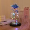 Illuminated Rainbow Rose in Glass Dome Decorative Display
