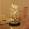 Illuminated Rainbow Rose in Glass Dome Decorative Display