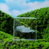 3D Moon and Cloud Engraved Crystal Cube