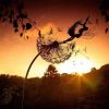 Dancing Dandelion Fairy Garden Sculpture