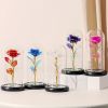 Illuminated Rainbow Rose in Glass Dome Decorative Display