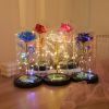 Illuminated Rainbow Rose in Glass Dome Decorative Display