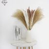 Natural Pampas Grass and Bunny Tail Dried Floral Bouquet